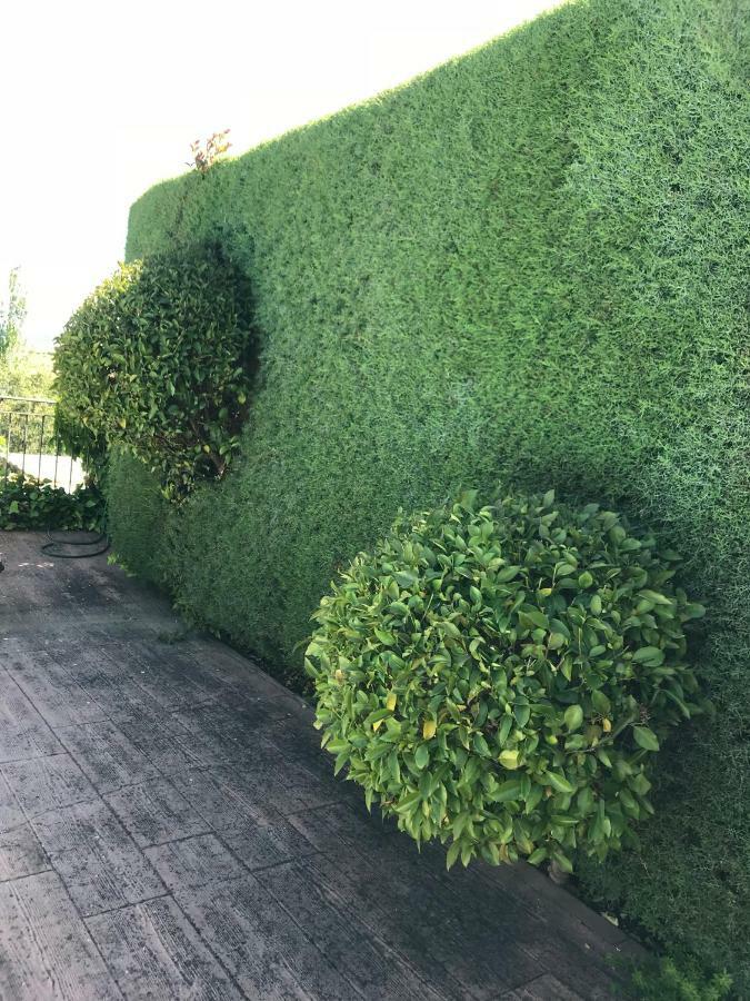 Jardin De La Yedra Vendégház Caces Kültér fotó